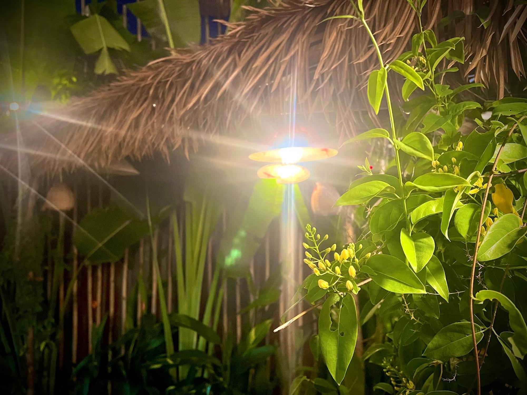 Ben Do Xua Homestay & Coffee Cai Rang Exterior foto