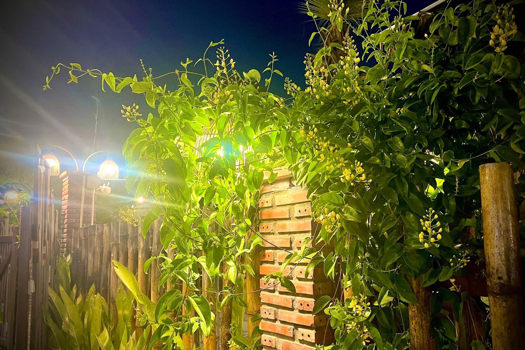 Ben Do Xua Homestay & Coffee Cai Rang Exterior foto